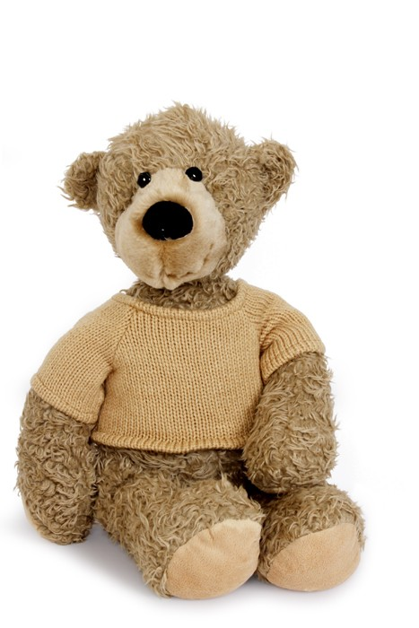 Les Ours en Peluche